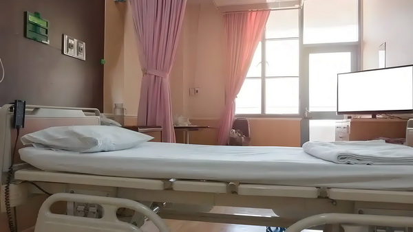 芝麻包子绿豆糕